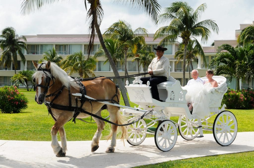 1 Moon Palace80 horse and carriage wedding 
