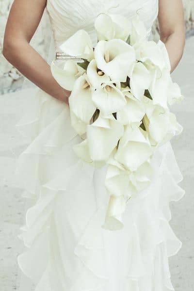  white orchid flowers with wedding dress 