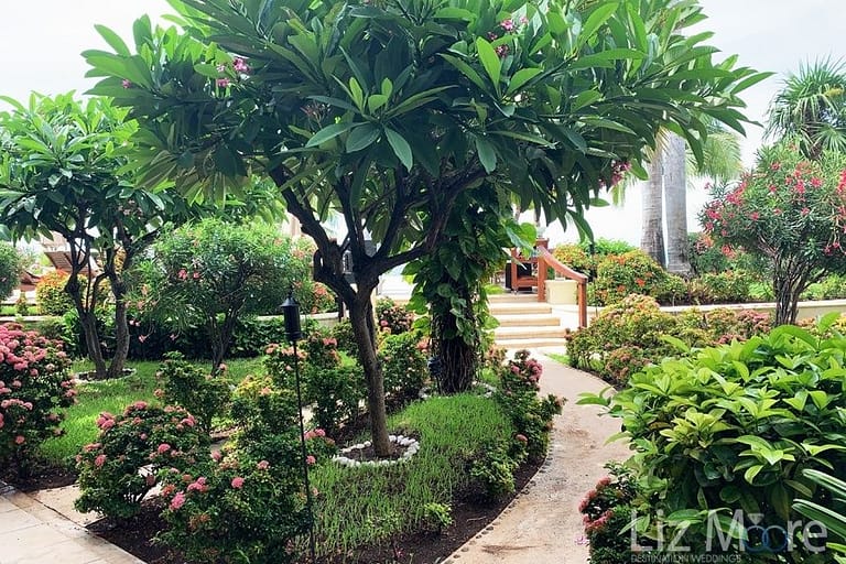 Zoetry-Villa-Rolandi-walkway-from-lobby-to-pool.jpg