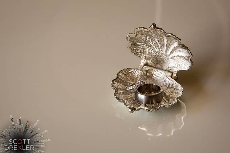 5 ring picture in silver sea shell