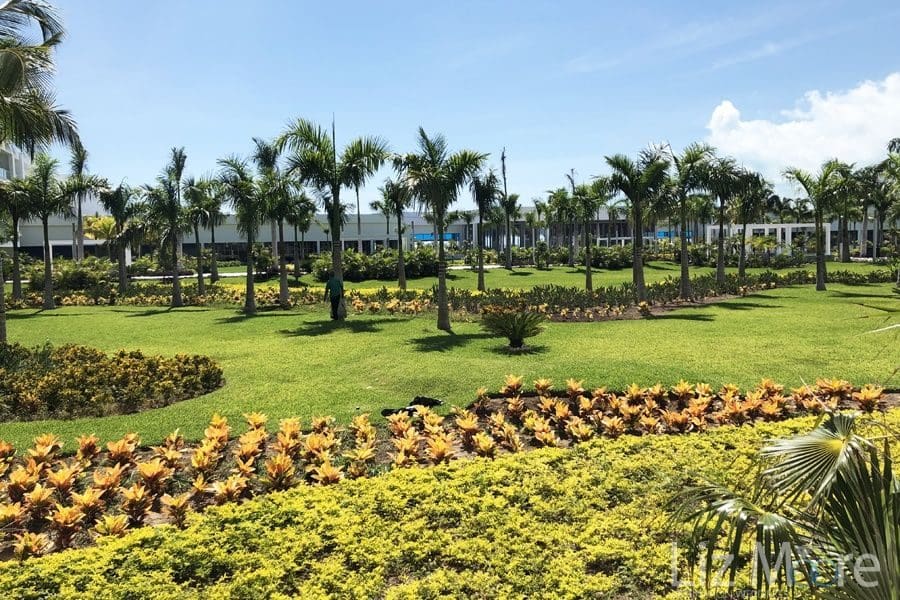 Riu-Costa-Mujeres-Palace-Garden-and-grounds.jpg